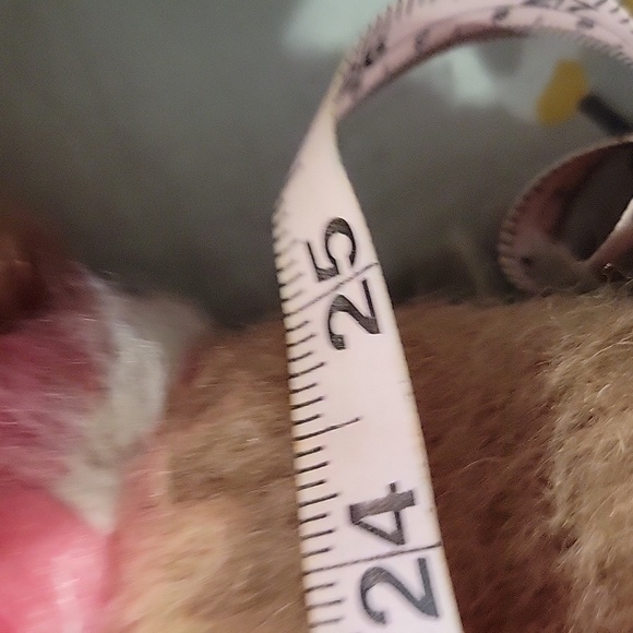 Kate Spade coat XXL NWT - Picture 6 of 9